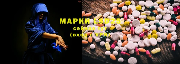 крисы Баксан