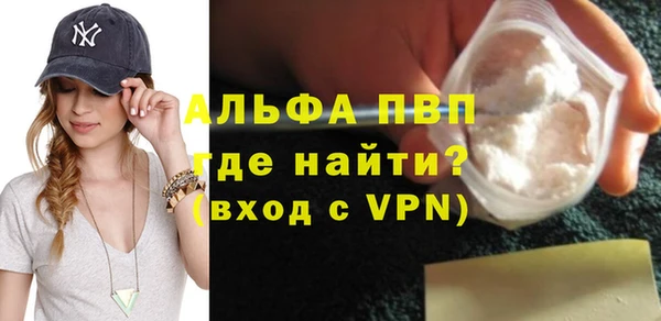 крисы Баксан