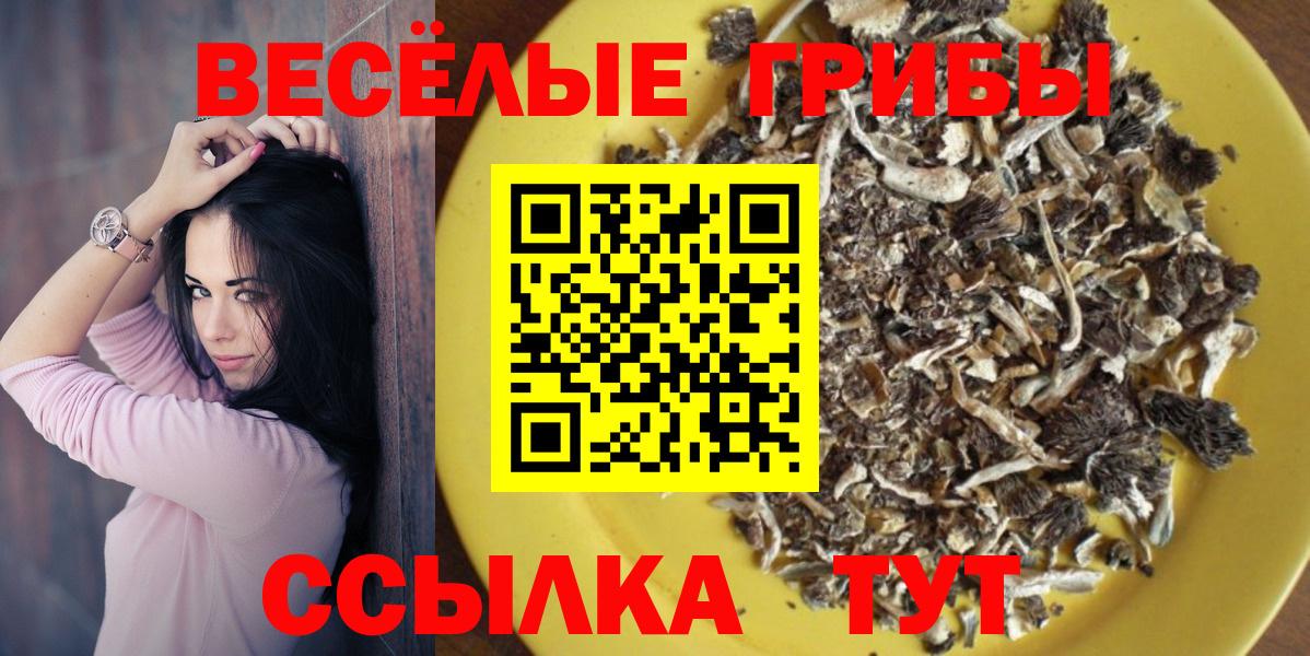 Богородицк  закладка  Вход с VPN  Галлюциногенные грибы Cubensis 